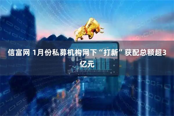 信富网 1月份私募机构网下“打新”获配总额超3亿元