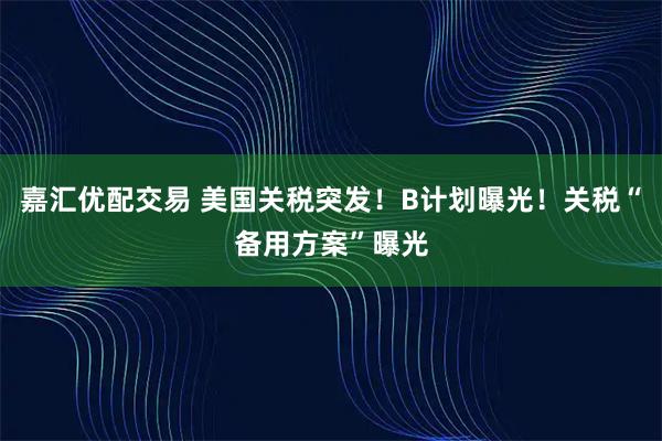 嘉汇优配交易 美国关税突发!B计划曝光!关税“备用方案”曝光